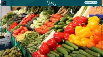 أسعار يومية.. تعرف على تحركات أسعار الخضروات والفاكهة مع الطماطم عند 7 جنيهات في 16 ديسمبر 2025